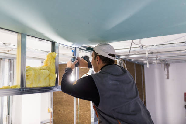 Best Commercial Insulation in Shelton, NE