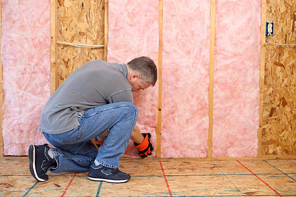Best Insulation Maintenance and Repair in Shelton, NE